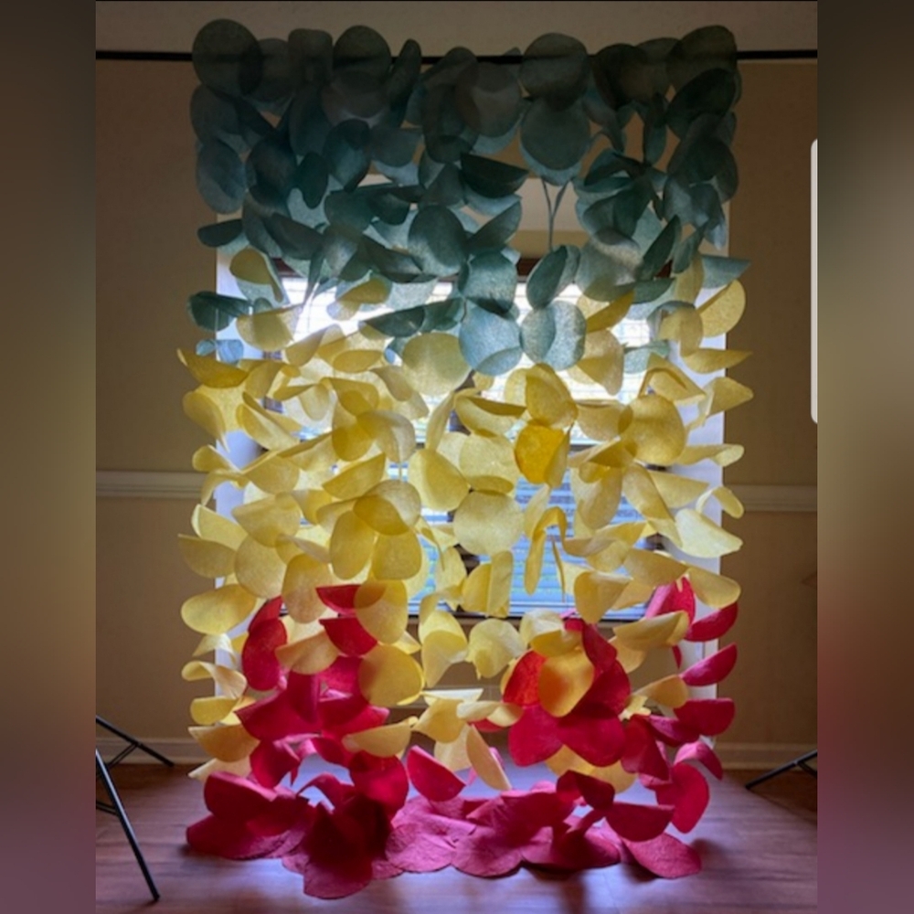 Red, yellow, and green themed backdrop for all occasions